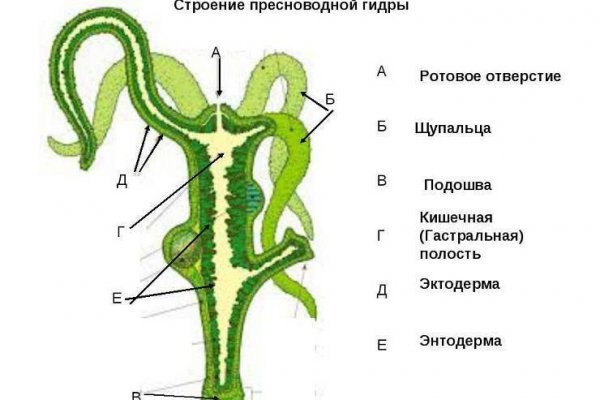 Kraken официальная ссылка tor