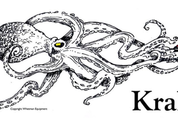 Kraken площадка