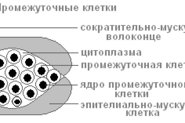 Зайти на кракен тор